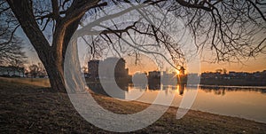 Sunset over the Lake with a Tree