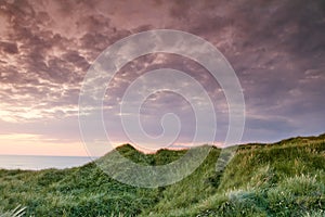 Sunset over a landscape with clouds, copy space and lush green grass growing on empty beach sand dunes on the coast of