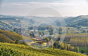 Sunset over Langhe vineyards. Color image