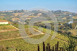 Sunset over Langhe vineyards. Color image