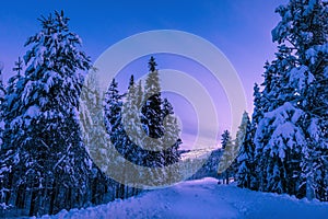 Sunset over Levi ski slope in Finnish Lapland