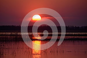 Sunset over Lubans lake in Latvia.