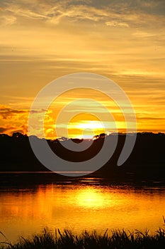 Sunset over Madidi National Park
