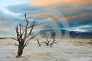 Sunset Over Mammoth Hot Springs