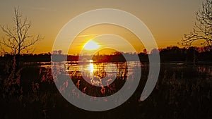 Sunset over the marsh of Bourgoyen nature reserve, Ghent.