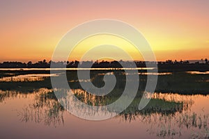 Sunset over marsh land