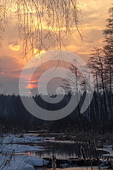 Sunset over the marsh Shchukino