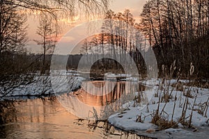 Sunset over the marsh Shchukino