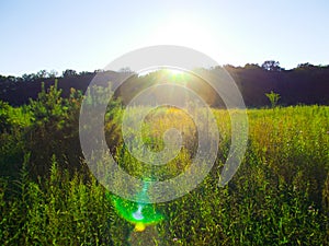 Sunset over a meadow with lens flair