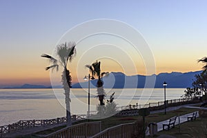 Sunset over the Mediterranean Sea. Palm trees and mountains against the sunset sky