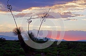 Sunset Over the Mountains in the Desert