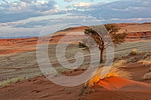 Sunset over the Namib desert