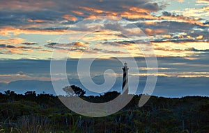 Sunset over North Carolina`s Cape Hatteras Lighthouse