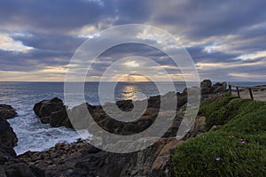 Sunset over the ocean in front of the cliff covered with winter flowers