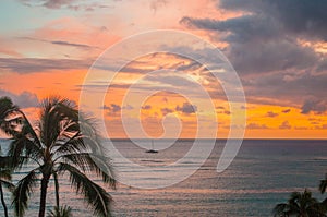 Sunset over the ocean with palm trees in Oahu, Hawaii