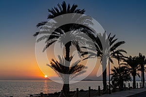 Sunset over the ocean with palm trees in silhouette and a beachfront sidewalk