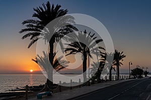 Sunset over the ocean with palm trees in silhouette and a beachfront sidewalk and oceanfront road