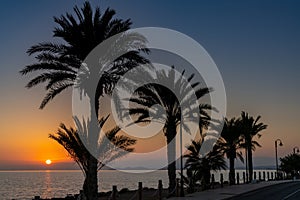 Sunset over the ocean with palm trees in silhouette and a beachfront sidewalk and oceanfront road