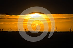 wind farm off the coast of North Yorkshire