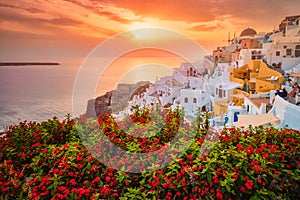 Sunset over Oia town on Santorini island in summer. Santorini, Greece