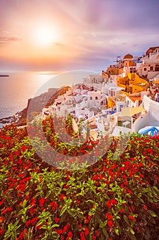 Sunset over Oia town on Santorini island in summer. Santorini, Greece