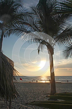 Sunset over pacific ocean, Mexico  with palm trees