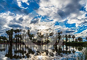Sunset over Papago Pond