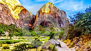 Sunset over the peak of Mount Majestic towers over the Emerald Pool Trail along the Virgin River in Zion National Park