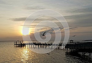 Sunset over the pier