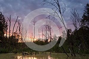 Sunset over pond