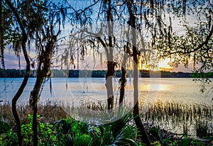 Sunset over pond at Payne`s Prairie in Florida.psd photo