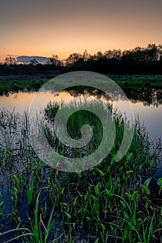 Sunset over a pond with young green grass