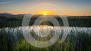 Sunset over the reeds in the Majal nature reserve in Spain.