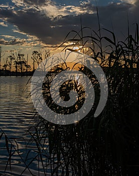 Sunset over Rietvlei Nature Reserve.