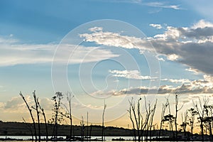 Sunset over Rietvlei Nature Reserve.