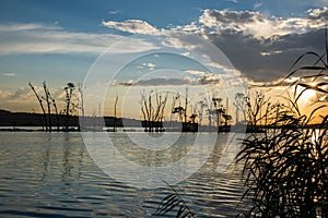 Sunset over Rietvlei Nature Reserve.