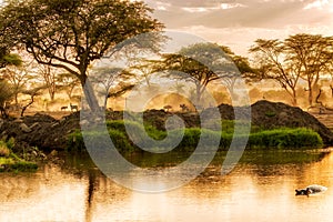 Sunset over the river in Serengeti, Tanzania.