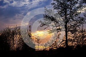 Sunset over the river in summer