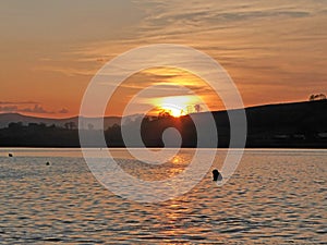 Sunset over the River Teign, Devon