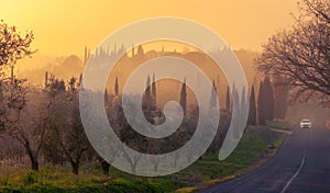 Sunset over a road with cypresses and olive trees in Tuscany