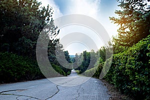 Sunset over the road. Sunrise in summer beautiful park. Bright sunny day in park.  The sun rays illuminate green grass and trees.