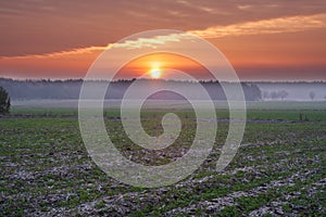 Sunset over rural field