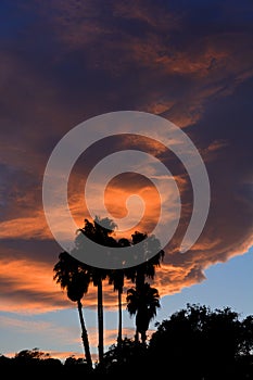 Sunset over Santa Barbara