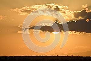 Sunset over the savanna