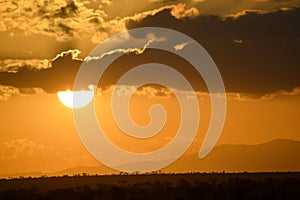 Sunset over the savanna