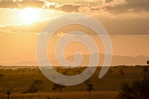 Sunset over the savanna