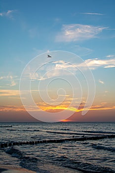 Sunset over the sea with breakwater, beach and birds