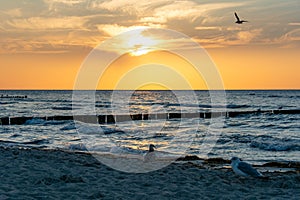 Sunset over the sea with breakwater, beach and birds