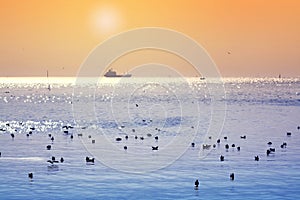 Sunset over the sea at Gulf of Thailand ,BangPu Seaside ,Samutprakan photo