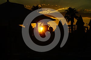 Sunset over the sea with palm trees